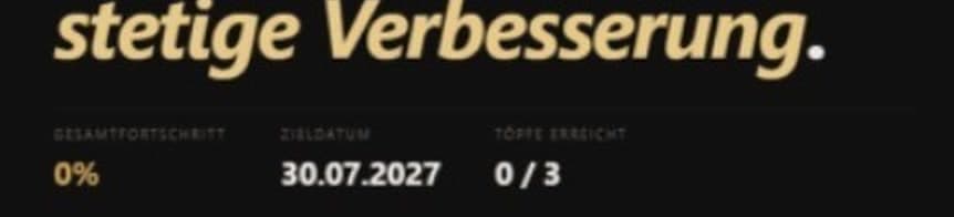Ausschnitt aus dem selbst gebauten Goal Tracker: Gesamtfortschritt, Zieldatum und erreichte Töpfe.